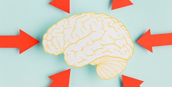 assessio-matrigma-inteligencia-evaluaciones-cognitivas-pruebas-laborales-hrtools